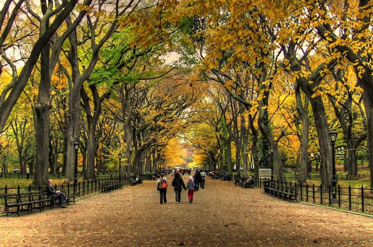 Places To Elope In Nyc